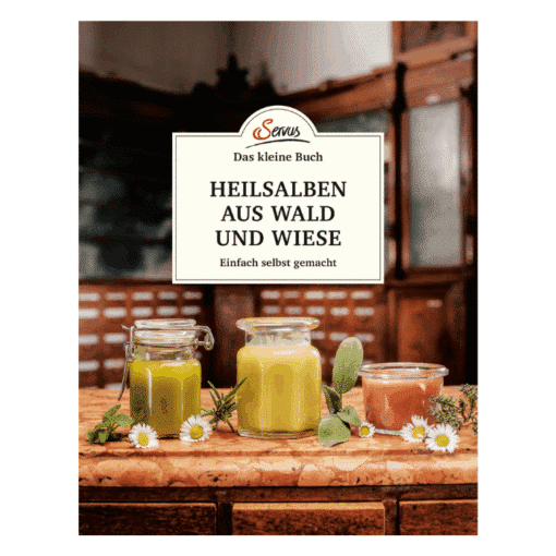 Heilsalben aus Wald und Wiese (Das große kleine Buch)