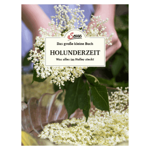 Holunderzeit (Das große kleine Buch)
