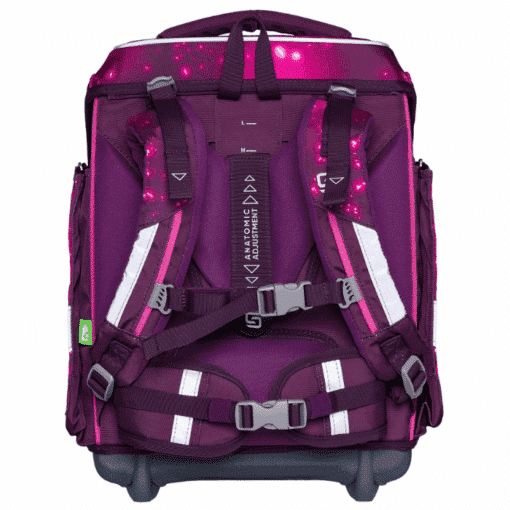 berry-cosmos-schneiders-ergolite-4