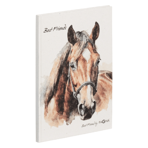 brown-horse-freundebuch-best-friend