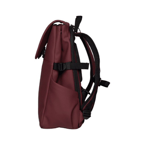 raspberry-c-aura-walker-rucksack