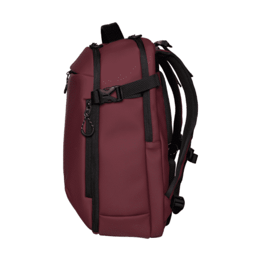 raspberry-c-element-walker-rucksack