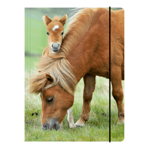 Alternative view of Sammelmappe A3/A4 - "Pony"