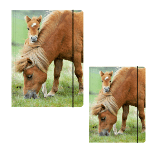 Sammelmappe A3/A4 - "Pony"