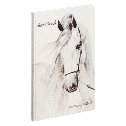 white-horse-freundebuch-best-friend