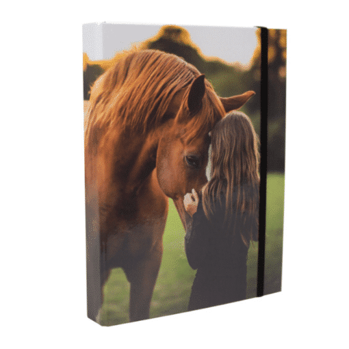 heftbox-girls-pferd