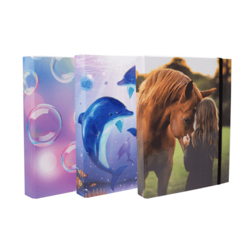 Heftbox A4 - Kids Girls - div. Motive
