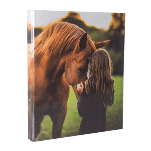 ringbuchmappe-kids-girls-pferd