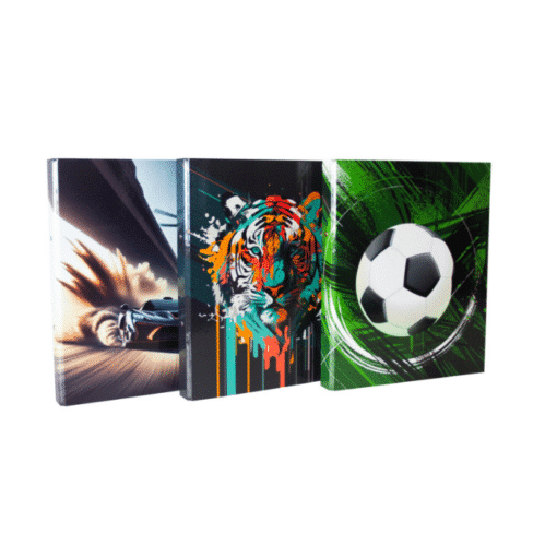 Ringmappe A4 - Kids Boys (div. Motive)